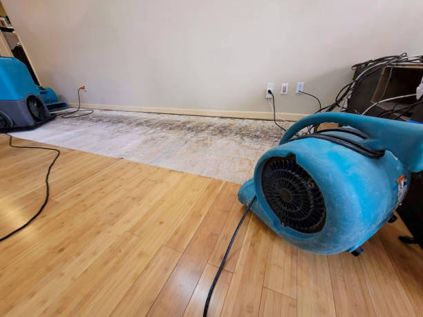 Professional Flood Damage Cleanup technician working in Broadway, NC